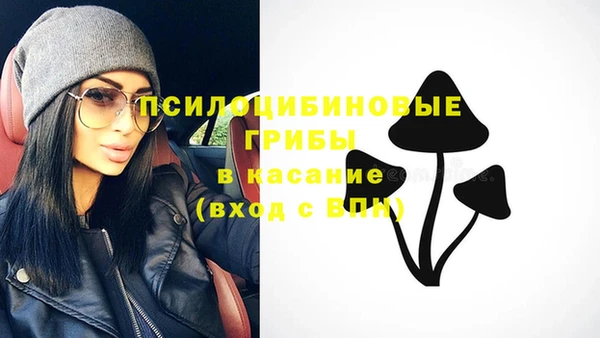 синтетический гашиш Алексеевка