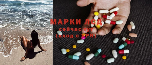 индика Алексин