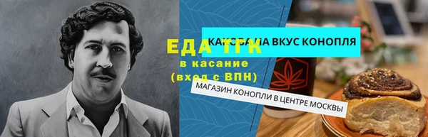 индика Алексин