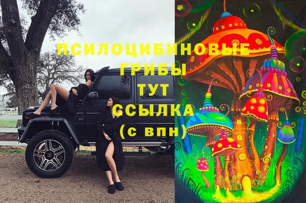 дживик Алзамай