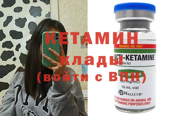 индика Алексин