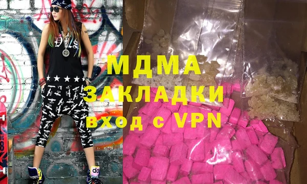 индика Алексин