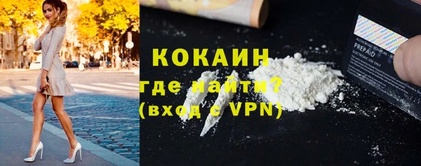 индика Алексин