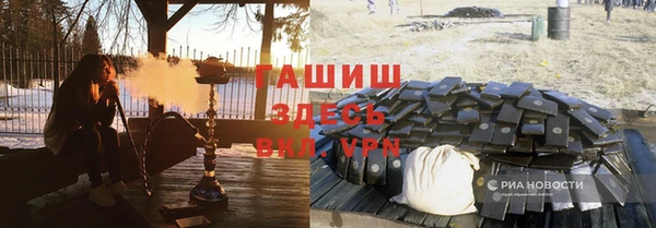 индика Алексин