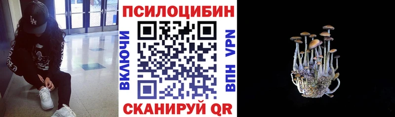 Галлюциногенные грибы Cubensis  Куртамыш 